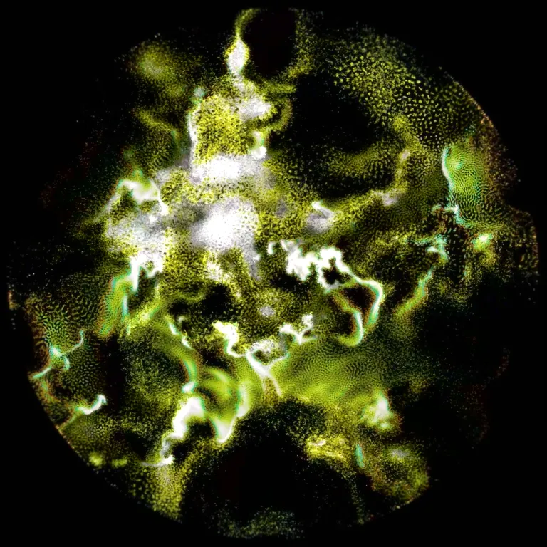 Untitled 1.1.5 (Mittel)