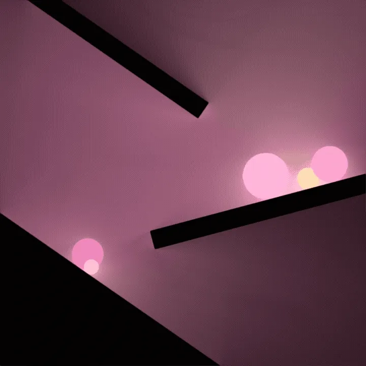Project_thumbnail