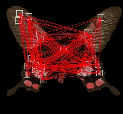 tracking connections