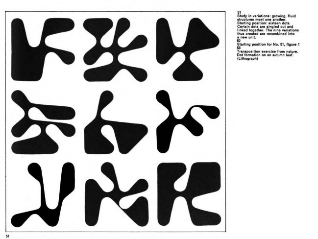 Screenshot of Hofmann's book